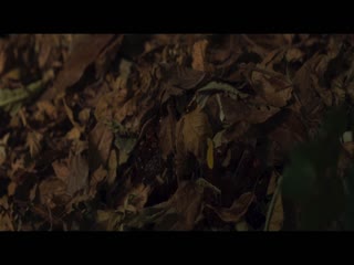 Bùa Hình Nhân Full