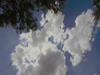 Phim Thước Đao Môn Truyền Kỳ (Phần 1) Tập 21