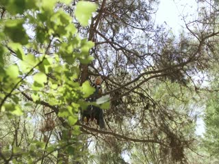 Phim Thước Đao Môn Truyền Kỳ (Phần 1) Tập 12