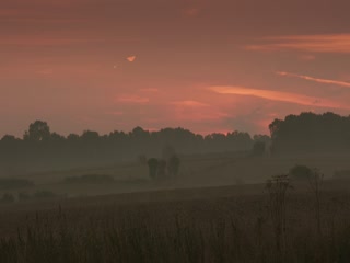 Phim Trang Trại Clarkson (Phần 2) Tập 2