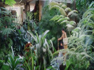 Mạn Thành Tập Tập 19