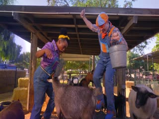 Blippi đi làm Tập Tập 07