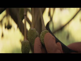 Thiên Đường Quả Báo Full